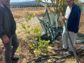 Kimliği belirsiz kişiler bahçe tellerine zarar verdi
