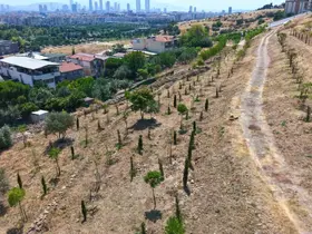 Kıraç topraklarda yeşil dönüşüm
