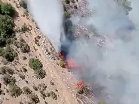 Kiraz’daki orman yangına havadan ve karadan müdahale