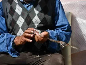Kırdığı çekirdeklerle kuşlara sofra kuruyor
