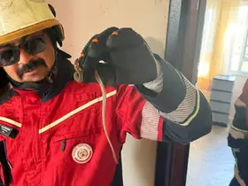 Kırıkhan’da eve giren yılanı itfaiye yakaladı
