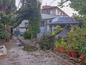Kırkağaç’ta fırtına hayatı olumsuz etkiledi
