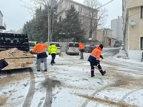 Kırklareli’nde solüsyonla ilaçlama ve tuzlama çalışmaları
