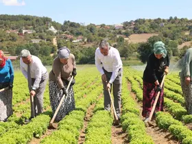 Kocaeli’de tarıma 1 milyar TL’lik destek
