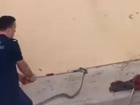 Konut bahçesinde 1,5 metre uzunluğunda yılan görüldü
