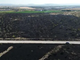 Konya’da ağaçlık 150 dekar alan kül oldu