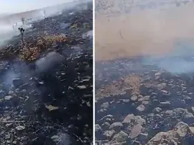 Konya’da kuruyan otlar alev aldı! Vatandaşlar seferber oldu