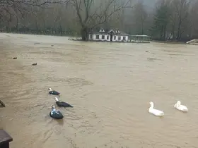 Konya'da yağış sonrası sel dereleri taşırdı