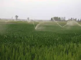 Konya Ovası’nda obruk alarmı: Sayı 740’ı aştı