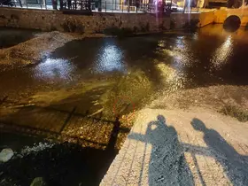 Konya’da su samuru sürprizi
