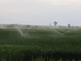 Konya’da yer altı suyu kullanımında düşüş, barajlardaki doluluk sevindiriyor