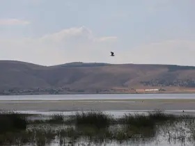Konya’daki göl kurudu! Herkes o günü bekliyor