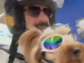 Köpeği ile markete alınmayan vatandaş isyan etti
