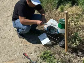 Köşk’te pamuk tarlalarına zararlı takibi için monitör tuzak kuruldu
