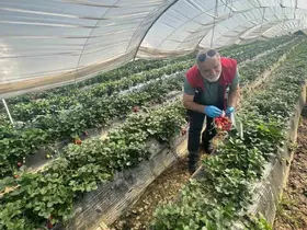 Köşk’ten Sultanhisar’a çapraz denetim
