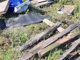 Kovanlarına ayının saldırdığını gören arıcı, "Çilingir sofrası olmuş"
