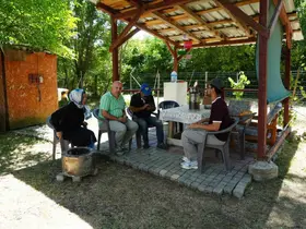 Köye inen ayı girdiği bahçede vatandaşlara korku dolu anlar yaşattı
