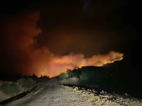 Kozan’da orman yangını: Yerleşim yerleri tahliye edildi

