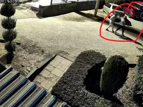 Kucağında çocuğuyla eşinin silahlı saldırısına uğrayan kadın hayatını kaybetti
