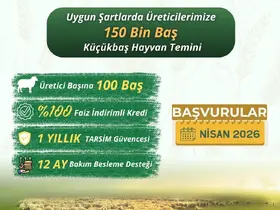 Küçükbaş üreticilerine "Kırsalda Bereket" projesi başlıyor
