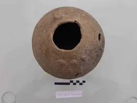 Külhöyük’te 4 bin yıllık Hitit kabının içerisinde Sevgi Çiçeği’nin eski tohum kalıntıları bulundu
