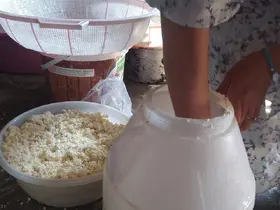 Kuma gömülerek olgunlaştırılan küp peyniri, asırlık lezzetini koruyor
