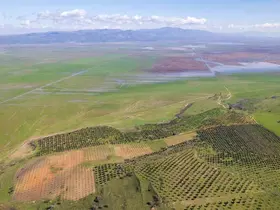 Kuruyan Marmara Gölünde umutlandıran görüntü

