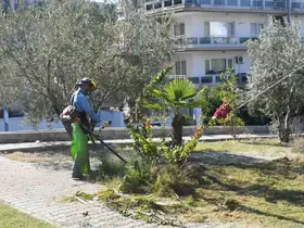 Kuşadası’nda park ve yeşil alanlar bakımdan geçiriliyor
