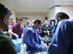 Kütahya’da uluslararası hekimlere ’mikrodalga ablasyon’ eğitimi
