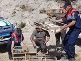 Kütahya’da yakalanan 142 saka kuşu doğaya salındı
