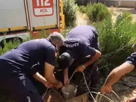 Kuyuya düşen yavru kediyi itfaiye kurtardı

