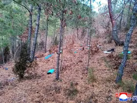 Kuzey Kore, Güney Kore’ye ait casus dronu düşürdü: "Ağır bir bedel ödeyecekler"
