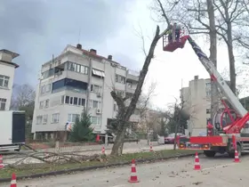 Lodosa karşı büyükşehir ekipleri sahada
