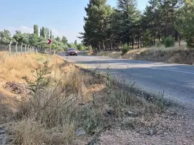 Mahalle muhtarından yol kenarlarındaki kurumuş otlar için ’yangın’ uyarısı
