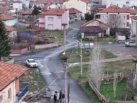Mahallenin maskotu oldular, baharla birlikte yuvalarına döndüler
