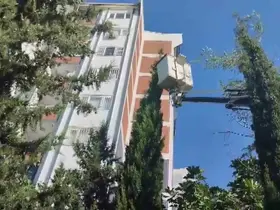 Mahsur kalan kediyi itfaiye kurtardı
