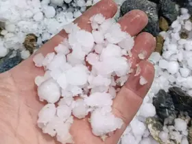 Malatya’da dolu kayısı bahçelerine zarar verdi
