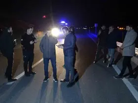 Malatya’da kaçan yarış atları karayoluna çıktı: 6 at telef oldu, 2 kişi yaralandı
