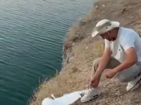 Malatya’da oltaya balık yerine martı takıldı
