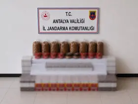 Manavgat’ta kaçak tütün operasyonu: 30 bin dolu makaron ele geçirildi
