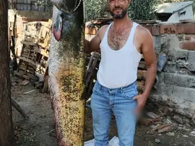 Manisa’da oltayla 2 metrelik yayın balığı yakaladı
