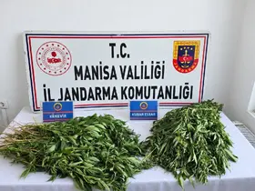 Manisa’da uyuşturucu operasyonları: 3 tutuklama
