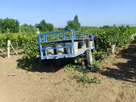 Manisa’da üzüm bağında feci kaza
