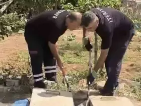 Mardin’de kuyuda görülen yılan doğaya bırakıldı
