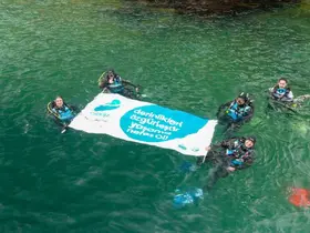 Marmara’nın derinliklerindeki "Hayalet Ağ" tehdidine sanat dokunuşu: Çıkarılan ağlar sanat eserine dönüştü
