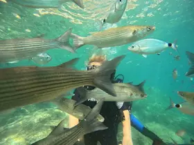 Marmaris’te dalış turizmine yoğun ilgi
