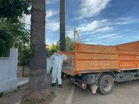 Marmaris’teki çöp evden bir kamyon çöp ve 30’a yakın kedi çıktı
