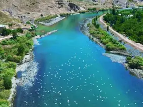 Martılar, Murat Nehri’nde görsel şölen oluşturdu
