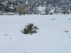 Mayıs ayında Konya! Kar kalınlığı 20 santim olarak ölçüldü