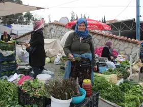 Menteşe Pazarında tilkişen sezonu başladı
